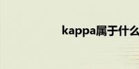 kappa属于什么档次
