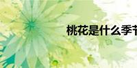桃花是什么季节的