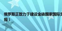 俄罗斯正致力于建设金砖国家国际支付桥梁（俄罗斯商业日报）