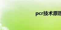 pcr技术原理