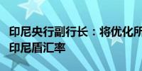 印尼央行副行长：将优化所有货币工具以稳定印尼盾汇率