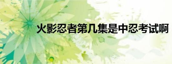 火影忍者第几集是中忍考试啊