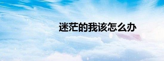 迷茫的我该怎么办