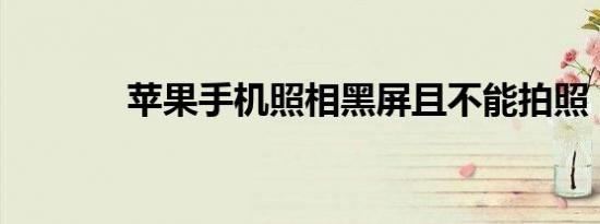 苹果手机照相黑屏且不能拍照
