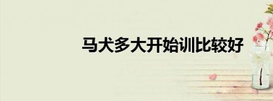 马犬多大开始训比较好