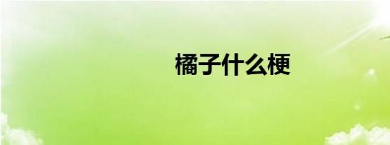橘子什么梗