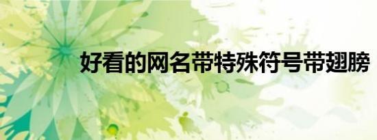 好看的网名带特殊符号带翅膀