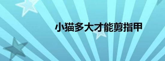 小猫多大才能剪指甲