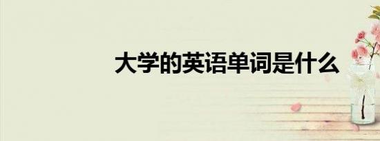 大学的英语单词是什么