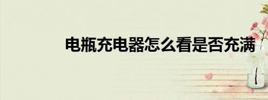 电瓶充电器怎么看是否充满
