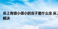 床上有很小很小的虫子是什么虫 床上有很小很小的虫子如何解决