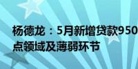 杨德龙：5月新增贷款9500亿元 流向经济重点领域及薄弱环节