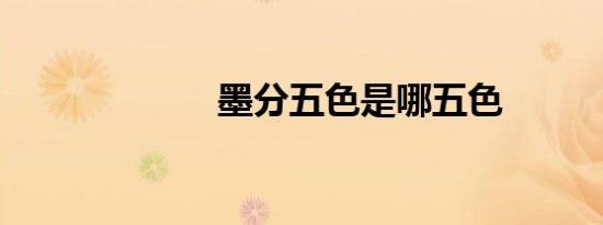 墨分五色是哪五色