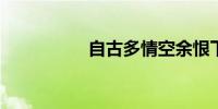 自古多情空余恨下一句