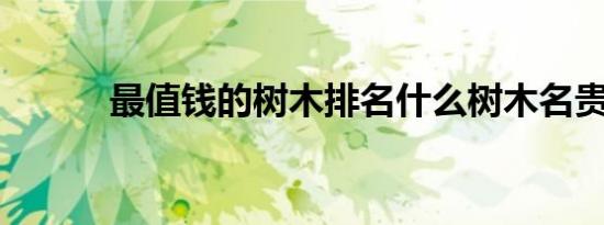 最值钱的树木排名什么树木名贵