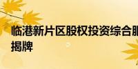 临港新片区股权投资综合服务平台（国际版）揭牌
