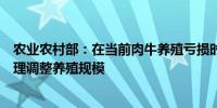 农业农村部：在当前肉牛养殖亏损时期及时引导养殖场户合理调整养殖规模