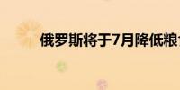 俄罗斯将于7月降低粮食出口关税