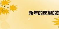新年的愿望的短句