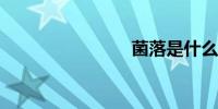 菌落是什么