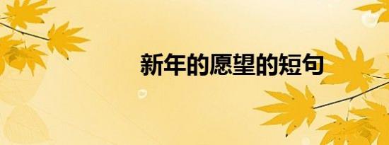 新年的愿望的短句
