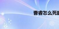 曹睿怎么死的