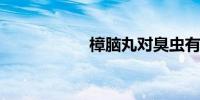 樟脑丸对臭虫有用吗