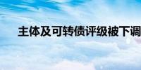 主体及可转债评级被下调百川股份回应