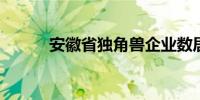 安徽省独角兽企业数居全国第六