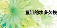 鱼缸的水多久换一次