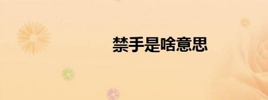 禁手是啥意思