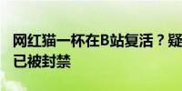 网红猫一杯在B站复活？疑似小号“牢猫Pro”已被封禁