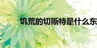 饥荒的切斯特是什么东西怎么获得