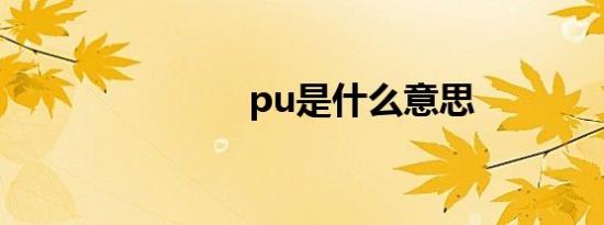 pu是什么意思