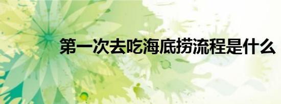 第一次去吃海底捞流程是什么