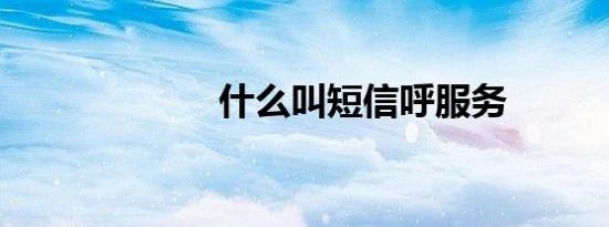 什么叫短信呼服务