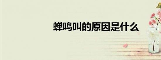 蝉鸣叫的原因是什么