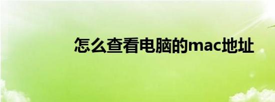 怎么查看电脑的mac地址