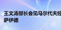 王文涛部长会见马尔代夫经济发展和贸易部长萨伊德