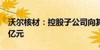 沃尔核材：控股子公司向其下属子公司增资2亿元