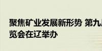 聚焦矿业发展新形势 第九届中国国际矿业展览会在辽举办