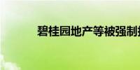碧桂园地产等被强制执行1.8亿