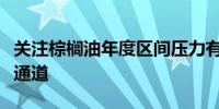 关注棕榈油年度区间压力有效突破或形成上行通道