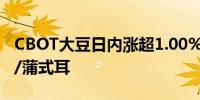 CBOT大豆日内涨超1.00%现报1124.25美分/蒲式耳