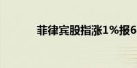 菲律宾股指涨1%报6424.33点
