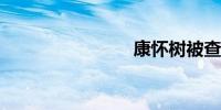 康怀树被查