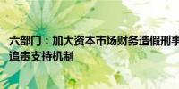 六部门：加大资本市场财务造假刑事追责力度 推动完善民事追责支持机制