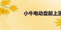 小牛电动盘前上涨7.7%