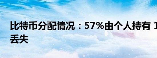 比特币分配情况：57%由个人持有 17.6%已丢失