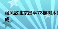 强风致北京昌平78棵树木倒伏 目前已清理完成